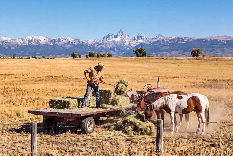Outdoor ranch work