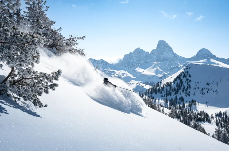 Skier on mountain slopes